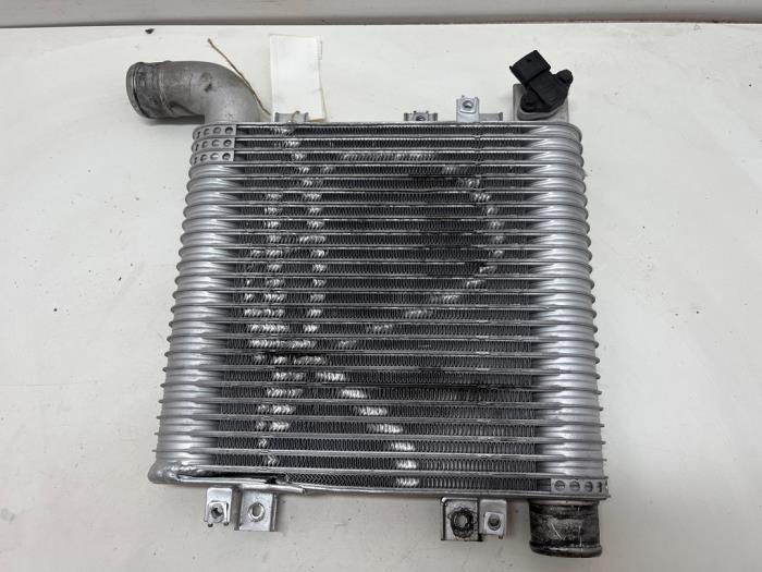 Usados Intercooler Hyundai Santa Fe II (CM) 2.2 CRDi 16V 4x2 Precio € 25,00 Norma de margen ofrecido por F. van den Mosselaar autodemontage