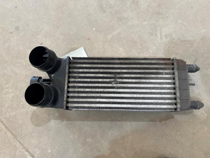 Usados Intercooler Citroen C5 III Tourer (RW) 1.6 16V THP 155 Precio € 25,00 Norma de margen ofrecido por F. van den Mosselaar autodemontage