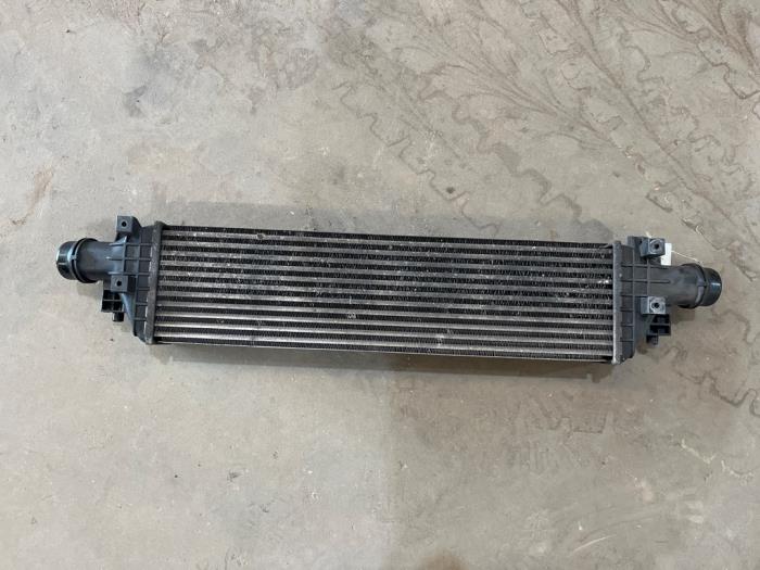 Used Intercooler Opel Mokka/Mokka X 1.7 CDTI 16V 4x2 Price € 35,00 Margin scheme offered by F. van den Mosselaar autodemontage
