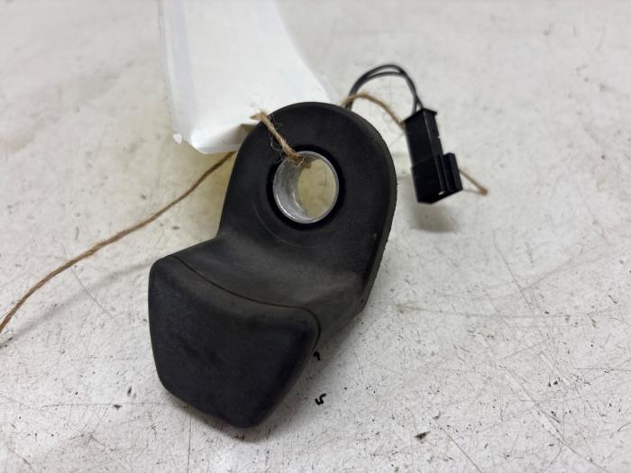 Tailgate window handle