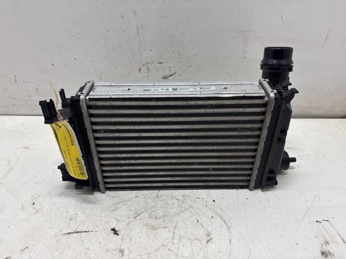 Usados Intercooler Dacia Jogger 1.0 TCe 100 Bi-Fuel , ECO-G 12V Precio € 150,00 Norma de margen ofrecido por F. van den Mosselaar autodemontage