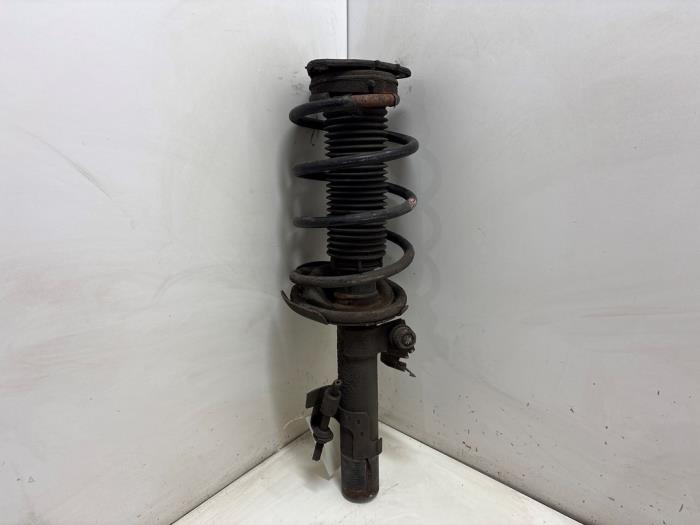 Coil spring mount