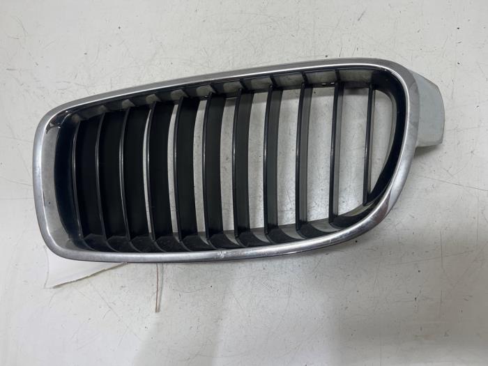 Grille de calandre avant