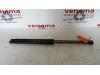 Set of tailgate gas struts from a Ford B-Max (JK8) 1.4 16V 2015