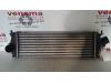 Intercooler from a Renault Trafic New (FL), 2001 / 2014 2.0 dCi 16V 115, Delivery, Diesel, 1.995cc, 84kW (114pk), FWD, M9R786, 2008-01 / 2014-06 2011