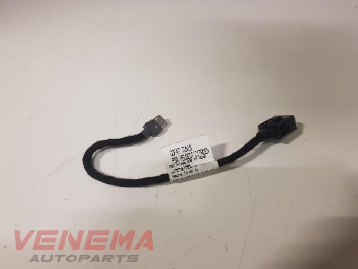 Enchufe USB de un Peugeot 308 (L3/L8/LB/LH/LP) 1.6 BlueHDi 120 2016