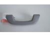 BMW 3 serie Touring (F31) 316d 2.0 16V Handle