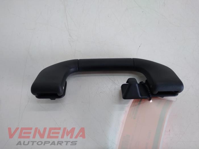 Roof grab handles