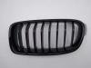 BMW 3 serie Touring (F31) 320d 2.0 16V Grill