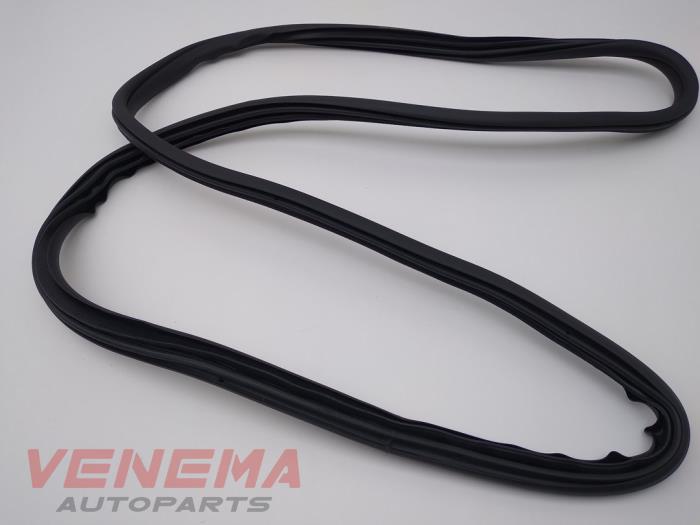 Rear door seal 4-door, right from a BMW 1 serie (F40) 118i 1.5 TwinPower 12V 2021