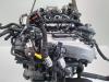 Engine from a Volkswagen Golf VIII (CD1) 2.0 TDI BlueMotion 16V 2023