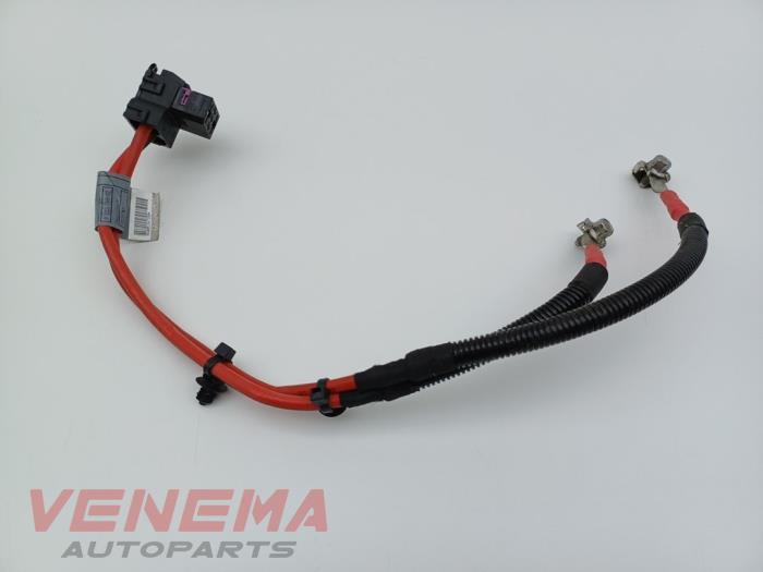 Gebrauchte Kabelbaum BMW 5 serie (F10) 550i V8 32V TwinPower Turbo Preis € 19,99 Margenregelung angeboten von Venema Autoparts