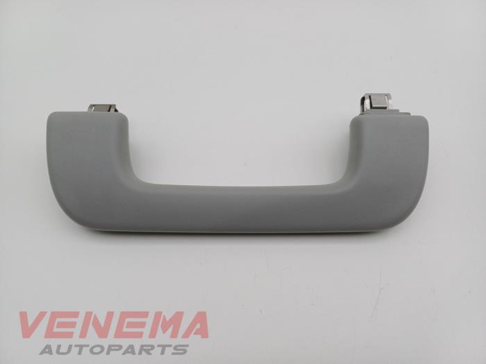 Roof grab handles