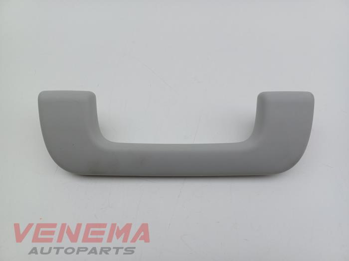 Roof grab handles