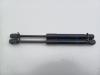 BMW 3 serie Touring (F31) 320d 2.0 16V Amortisseur kit capot moteur