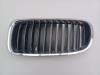 BMW 3 serie Touring (F31) 320d 2.0 16V Calandre
