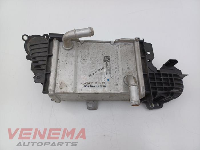 Usados Intercooler Ford Focus 4 Wagon 1.5 EcoBlue 120 Precio € 69,99 Norma de margen ofrecido por Venema Autoparts