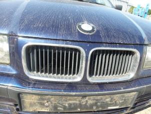 Used Grille BMW 3-Serie Price on request offered by N Kossen Autorecycling BV
