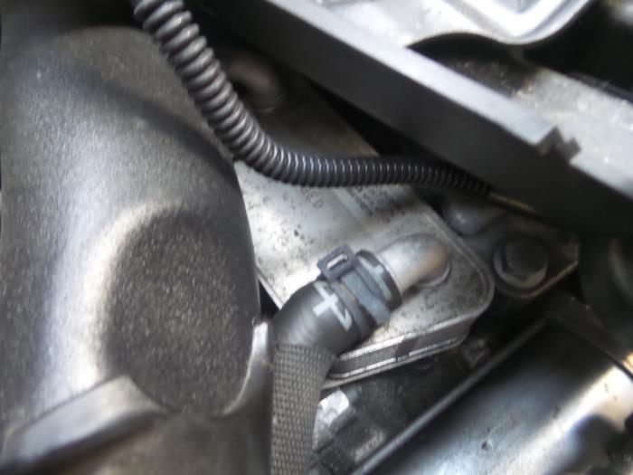 Gebrauchte Ölkühler Audi A3 Preis auf Anfrage angeboten von N Kossen Autorecycling BV