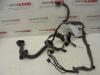 Renault Scenic Wiring harness
