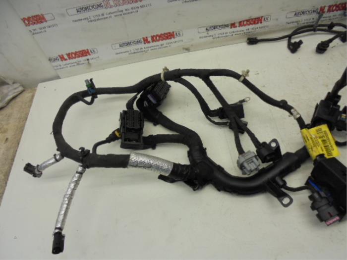 Wiring harness engine room from a Daewoo Aveo 1.3 D 16V 2012