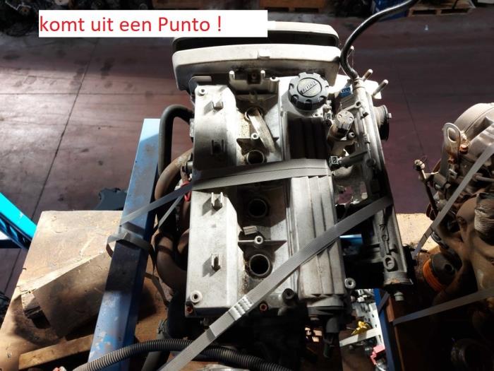 Used Engine Fiat Barchetta Price on request offered by N Kossen Autorecycling BV