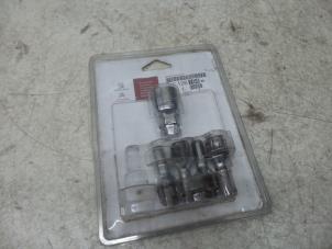 Used Set of wheel locks Peugeot 607 (9D/U) 2.7 HDi V6 24V Price on request offered by N Kossen Autorecycling BV