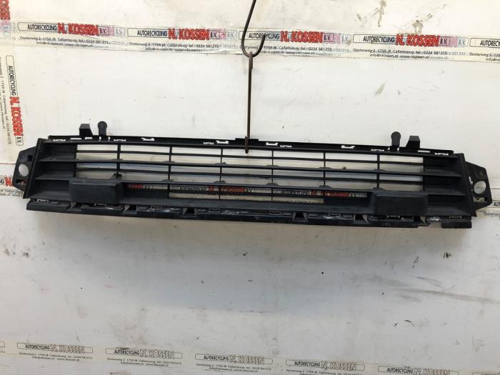 Citroen Berlingo Bumper grilles stock | ProxyParts.com