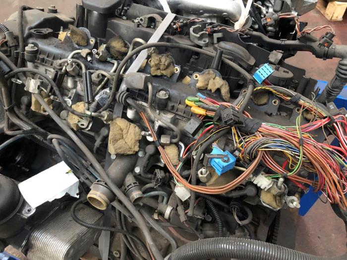 Gebrauchte Zylinderkopf BMW 5 serie Touring (E39) 530d 24V Preis auf Anfrage angeboten von N Kossen Autorecycling BV