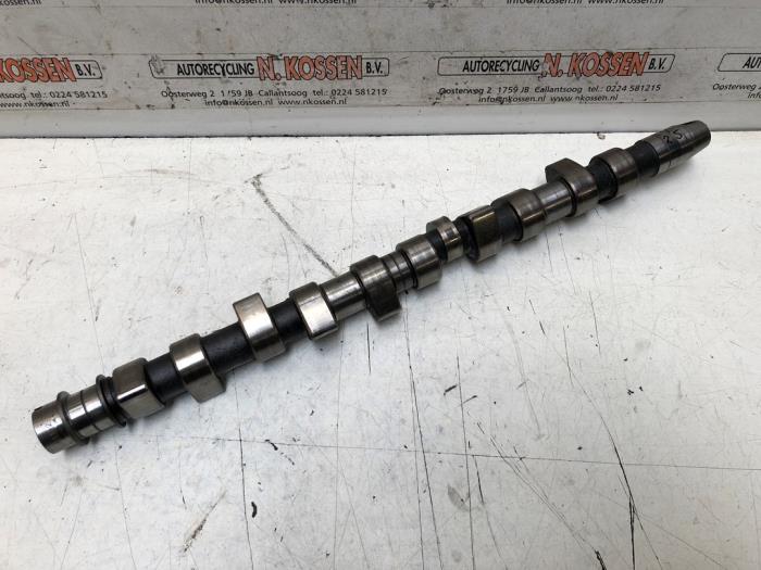 Usagé Arbre à cames Volkswagen Transporter Prix sur demande proposé par N Kossen Autorecycling BV