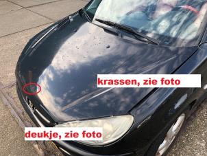 Usados Capó Peugeot 206 CC (2D) 1.6 16V Precio de solicitud ofrecido por N Kossen Autorecycling BV