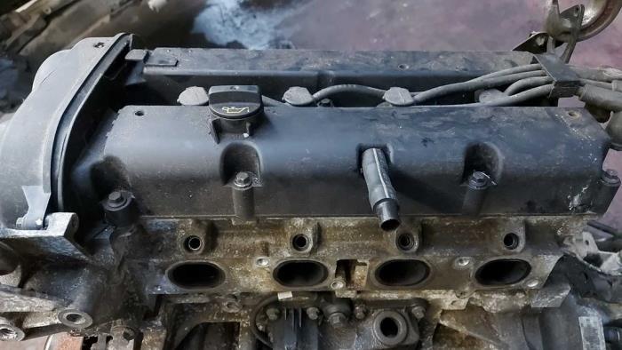 Usagé Culasse Ford Fiesta 6 (JA8) 1.25 16V Prix sur demande proposé par N Kossen Autorecycling BV