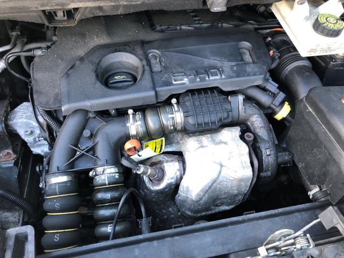 Gebrauchte Zylinderkopf Peugeot 5008 I (0A/0E) Preis auf Anfrage angeboten von N Kossen Autorecycling BV