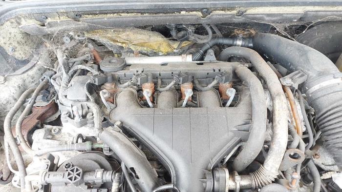 Usagé Injecteurs Peugeot 407 (6D) 2.0 HDiF 16V Prix sur demande proposé par N Kossen Autorecycling BV