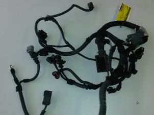 Used Wiring harness Opel Signum (F48) 2.2 direct 16V Price on request offered by N Kossen Autorecycling BV