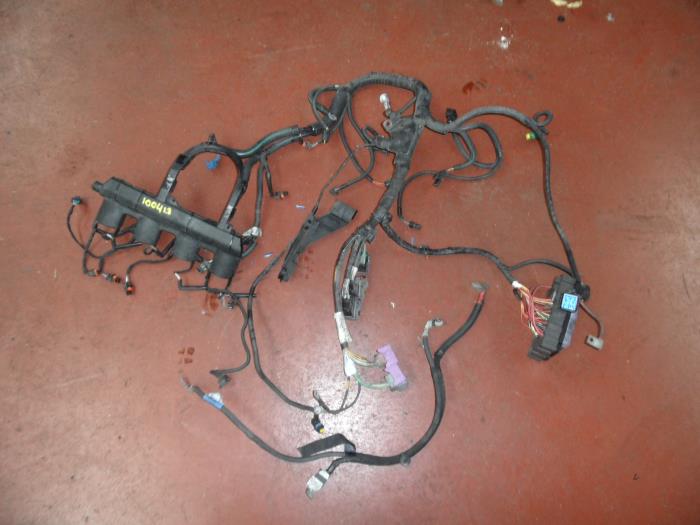 Wiring harness from a Renault Espace (JK) 2.2 dCi 16V 2003