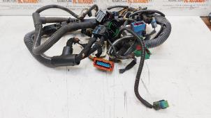 Used Wiring harness Peugeot 206 CC (2D) 2.0 16V Price on request offered by N Kossen Autorecycling BV