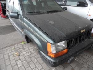 Usagé Feu clignotant gauche Jeep Grand Cherokee (WG/WJ) 5.2i V8 Prix sur demande proposé par N Kossen Autorecycling BV