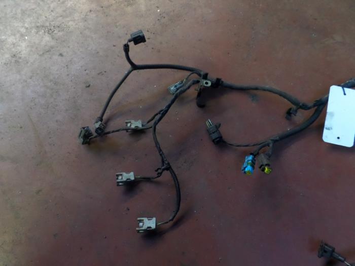 Wiring harness from a Ford Transit Connect 1.8 TDCi 90 2004