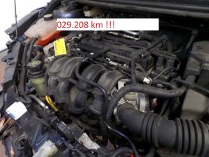 Usagé Moteur Ford Focus 2 1.6 Ti-VCT 16V Prix sur demande proposé par N Kossen Autorecycling BV