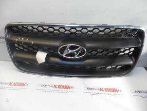 Used Grille Hyundai Santafe Price on request offered by N Kossen Autorecycling BV