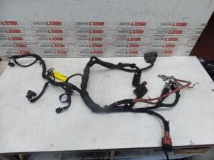 Used Wiring harness Opel Signum Price on request offered by N Kossen Autorecycling BV