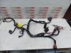 Wiring harness from a Opel Signum 2006