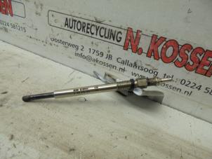 Used Glow plug Fiat Scudo Price on request offered by N Kossen Autorecycling BV