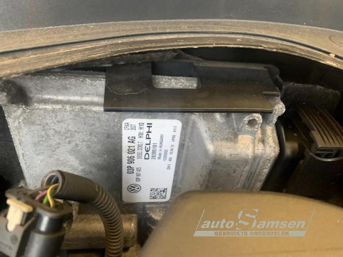 Used Engine management computer Volkswagen Polo V (6R) 1.2 TDI 12V BlueMotion Price € 100,00 Margin scheme offered by Auto Samsen B.V.