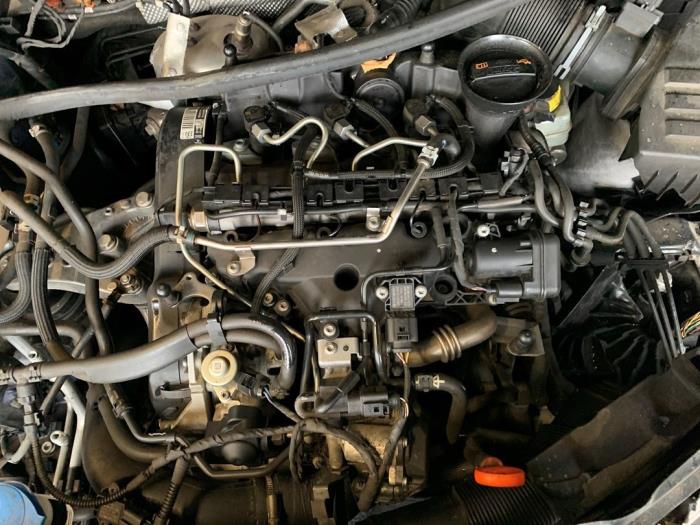 Motor van een Volkswagen Polo V (6R) 1.2 TDI 12V BlueMotion 2011