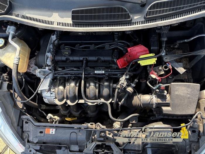 Używane Silnik Ford Fiesta 6 (JA8) 1.6 16V Sport Cena € 550,00 Procedura marży oferowane przez Auto Samsen B.V.
