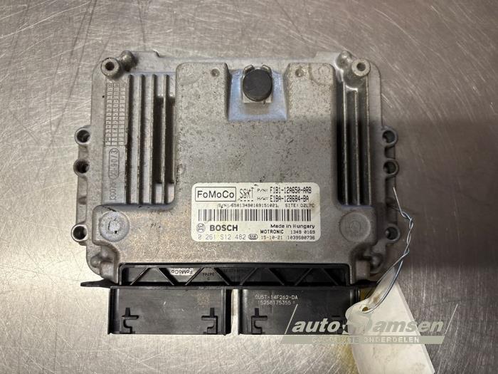 Used Engine management computer Ford Fiesta 6 (JA8) 1.0 Ti-VCT 12V 65 Price € 85,00 Margin scheme offered by Auto Samsen B.V.