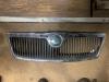 Grille from a Skoda Octavia 2007