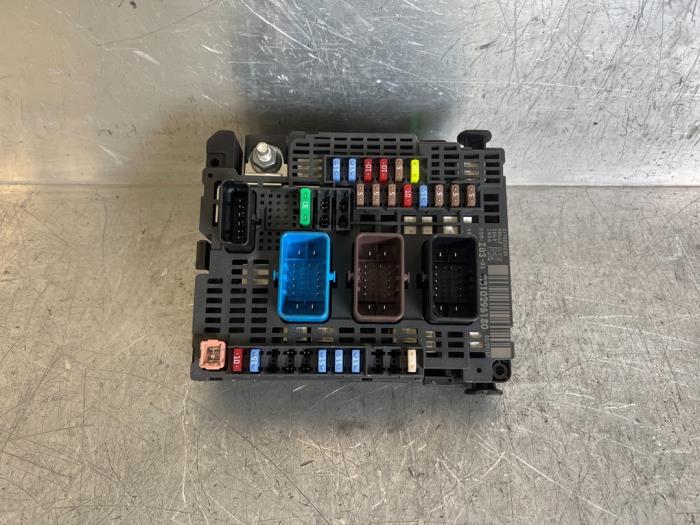 Fuse box Peugeot 5008 9810296180 DELPHI Mettler BV